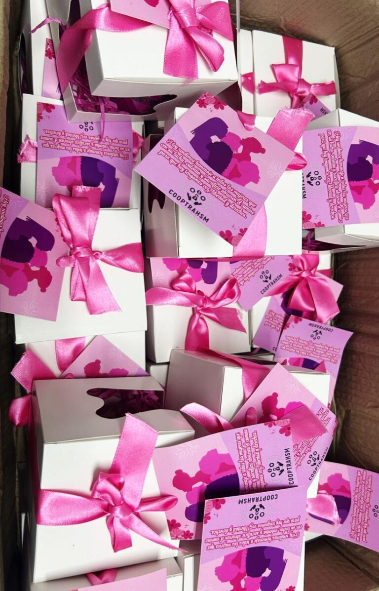 WhatsApp Image 2025-11-24 at 7.01