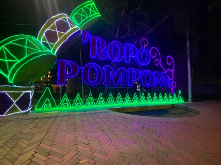 WhatsApp Image 2025-11-24 at 7.20